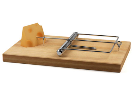old wooden mouse trap with cheese as bait.