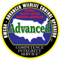Advanced Wildlife Control Operator Certified by the National Wildlife Control Operators Association.