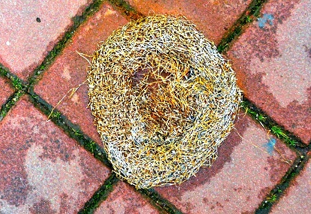 Steel wool mouse proofing.