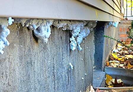 DIY spray foam repairs for mice.