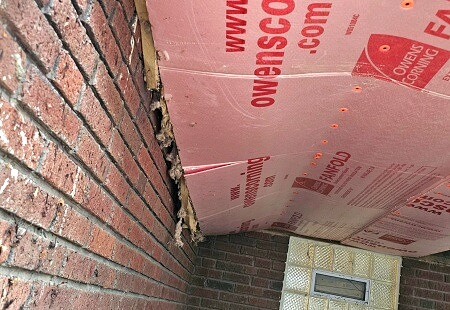 Example of mice living in insulation under porches.
