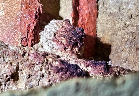 Mouse sebum markings.