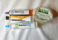 Baits are a low risk way to control ants and cockroaches.