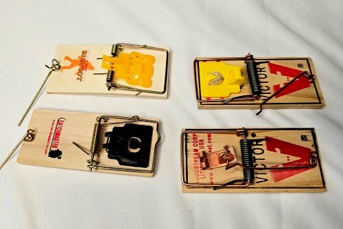 Collection of four commonly used wooden mouse snap traps.