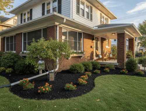 How to Prevent Common Household Pests in Cleveland OH