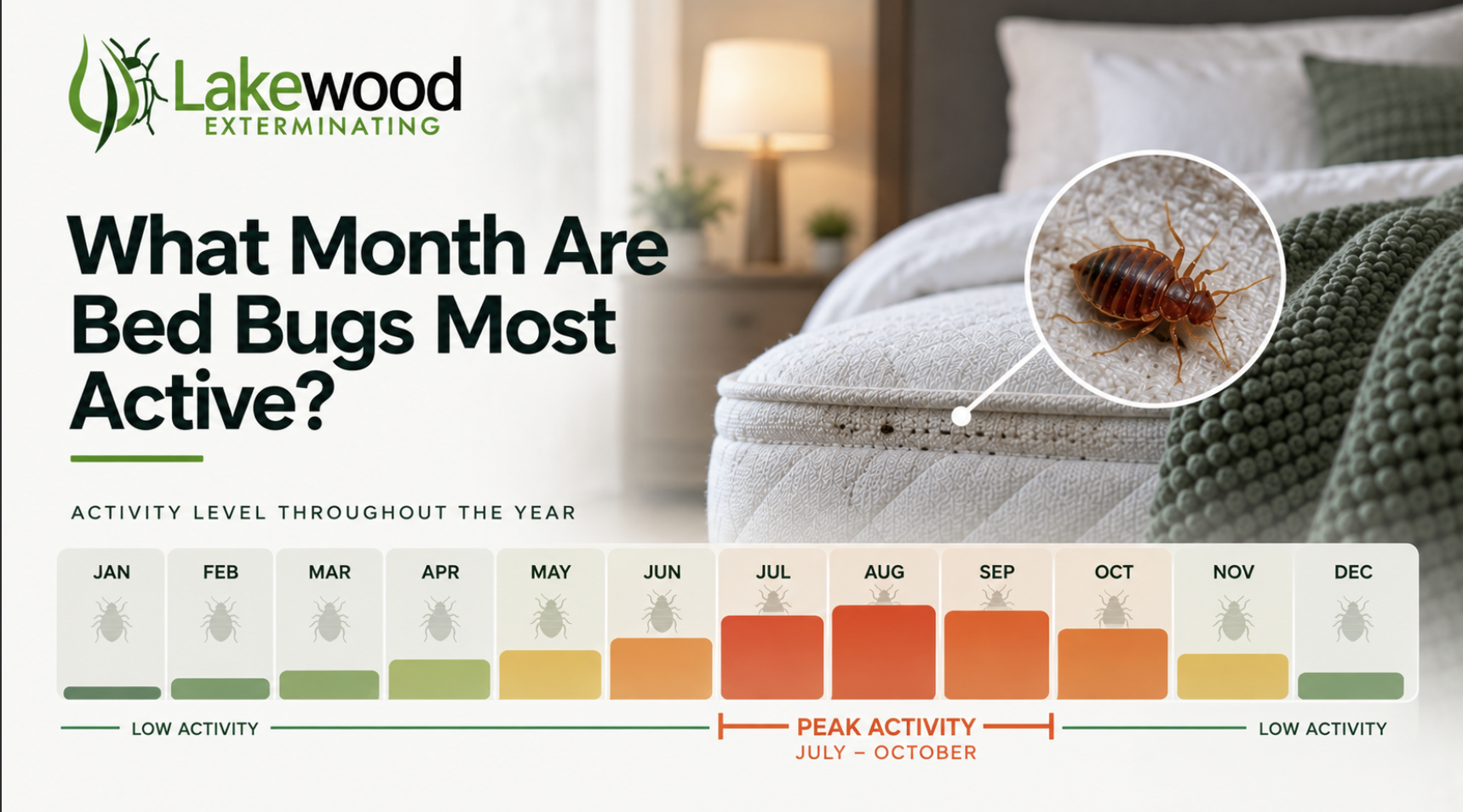 What Month Are Bed Bugs Most Active in Cleveland?