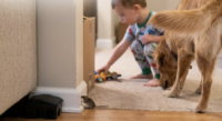 Are Mouse Bait Stations and Rodenticides Safe Around Kids and Pets?