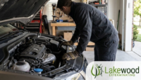 Can a Mouse Exterminator Get Mice Out of Your Garage and Car Engine in Westlake?