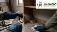 How Do You Safely Clean Up Mouse Droppings and Nests After an Infestation?