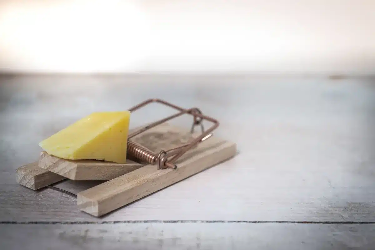 Close-up of a wooden mousetrap with cheese on a rustic table, highlighting pest control methods.